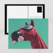 paard van de koude oorlog briefkaart (Voorkant / Achterkant)