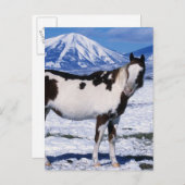 Paard van de verf die in de sneeuw staat briefkaart (Voorkant / Achterkant)