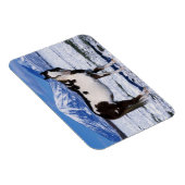 Paard van de verf die in de sneeuw staat magneet (Rechterzijde)