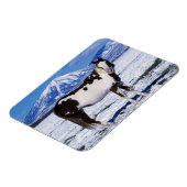 Paard van de verf die in de sneeuw staat magneet (Linkerzijde)