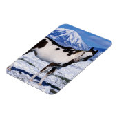 Paard van de verf die in de sneeuw staat magneet (Linkerzijde)