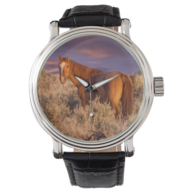 Paard van Harney County staat alert Horloge (Voorkant)
