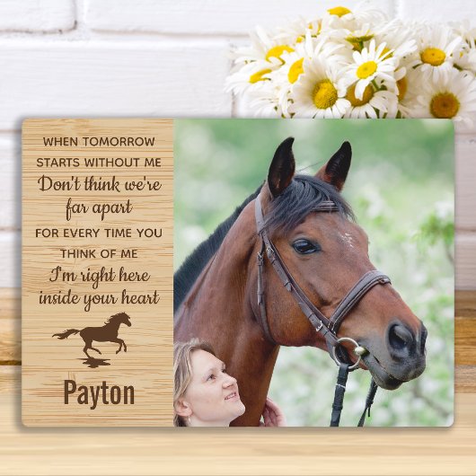 Paard van Herinnering Paardendenkmal Fotoplaat