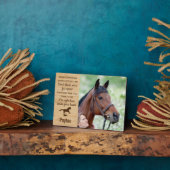 Paard van Herinnering Paardendenkmal Fotoplaat (Zijkant)
