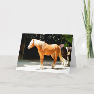 Paard van het type palomino feestdagen kaart