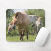 Paard van Przewalski en veulen lopen Muismat (Met muis)