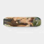 paard van slim aleck persoonlijk skateboard (Horizontaal)