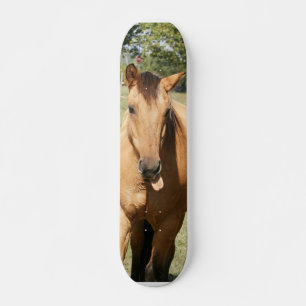 paard van slim aleck persoonlijk skateboard