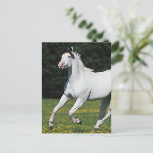 Paard van verf die in grijs veld loopt briefkaart (Staand voorkant)