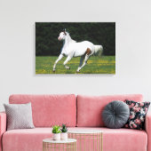 Paard van verf die in grijs veld loopt canvas afdruk (Insitu (Woonkamer))