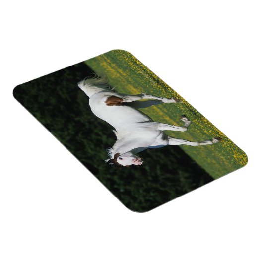 Paard van verf die in grijs veld loopt magneet (Rechterzijde)