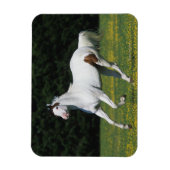 Paard van verf die in grijs veld loopt magneet (Verticaal)