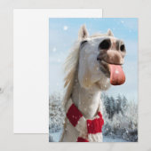 Paard Vangt Sneeuwvlokken Kaart (Voorkant / Achterkant)