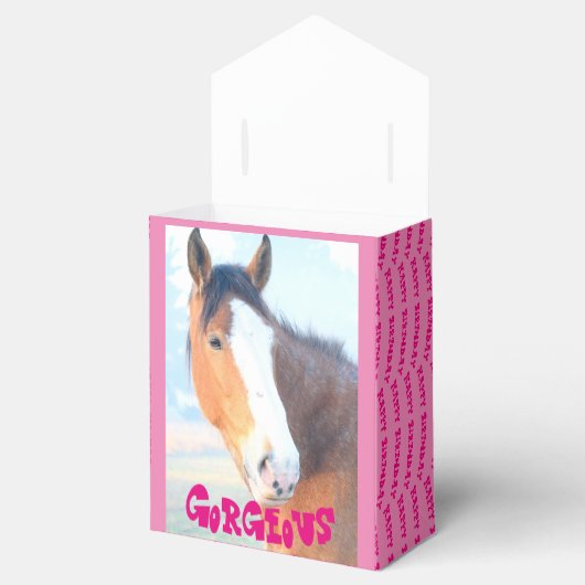 Paard Verjaardag geschenkdoos Bedankdoosjes (Geopend)