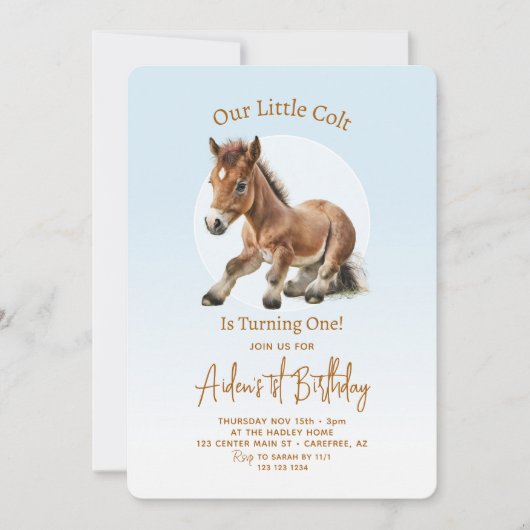 Paard Verjaardag Jongens 1e Kaart (Voorkant)