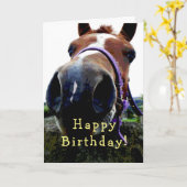 Paard Verjaardagskaart Kaart (Gele Bloem)