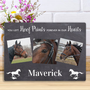 Paard Verlies Cadeau Paard Herdenkingsteken Fotoplaat
