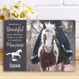Paard Verlies Foto Aandenken Huisdier Citaat Paard Fotoplaat