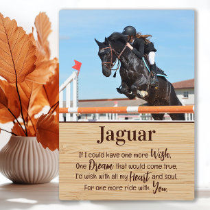 Paard Verlies Geschenk Foto Paard Herdenking Fotoplaat