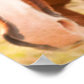 Paard verschuilt zich achter paard poster (Hoek)