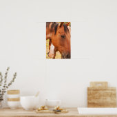Paard verschuilt zich achter paard poster (Keuken)
