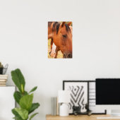 Paard verschuilt zich achter paard poster (Thuiskantoor)