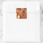 Paard verschuilt zich achter paard vierkante sticker (Tas)