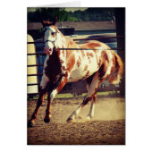 Paard verven (Voorkant)