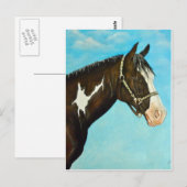 Paard verven briefkaart (Voorkant / Achterkant)