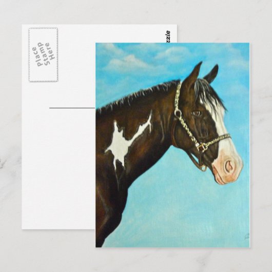 Paard verven briefkaart (Voorkant / Achterkant)