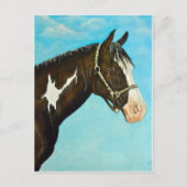 Paard verven briefkaart (Voorkant)