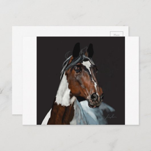 Paard verven briefkaart (Voorkant / Achterkant)