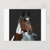 Paard verven briefkaart (Voorkant)