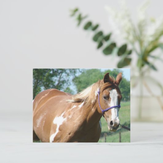 Paard verven briefkaart (Staand voorkant)