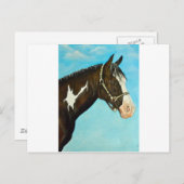 Paard verven briefkaart (Voorkant / Achterkant)