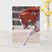 Paard verven kaart (Gele Bloem)