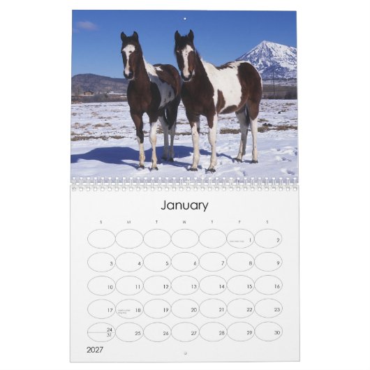 Paard verven kalender (Jan 2027)