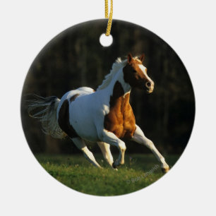 Paard verven met snelle werking keramisch ornament