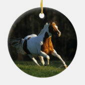 Paard verven met snelle werking keramisch ornament (Achterkant)