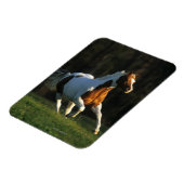 Paard verven met snelle werking magneet (Linkerzijde)