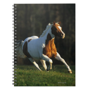 Paard verven met snelle werking notitieboek