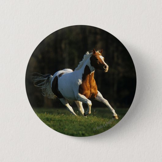 Paard verven met snelle werking ronde button 5,7 cm (Voorkant)