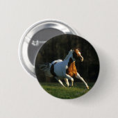 Paard verven met snelle werking ronde button 5,7 cm (Voorkant /achterkant)