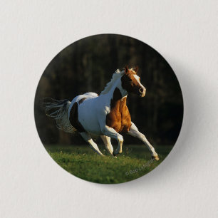 Paard verven met snelle werking ronde button 5,7 cm