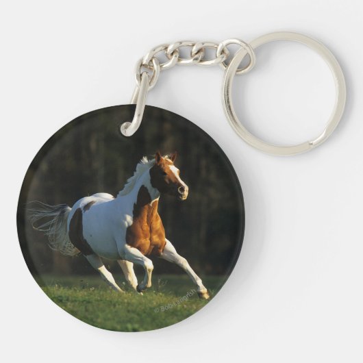 Paard verven met snelle werking sleutelhanger (Achterkant)