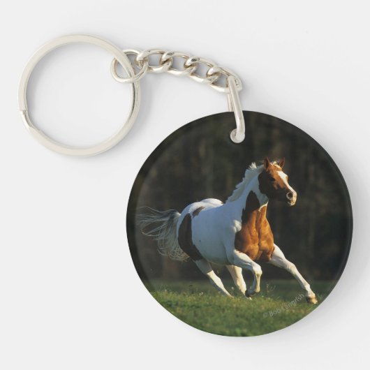 Paard verven met snelle werking sleutelhanger (Voorkant)