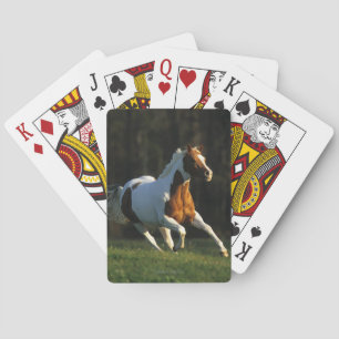 Paard verven met snelle werking speelkaarten