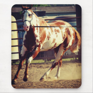 Paard verven muismat