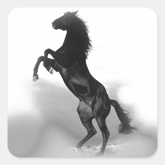 Paard Vierkante Sticker (Voorkant)
