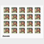 Paard Vierkante Sticker (Vel)